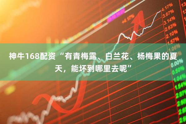 神牛168配资 “有青梅露、白兰花、杨梅果的夏天，能坏到哪里去呢”